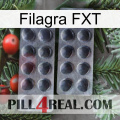 Filagra FXT 31